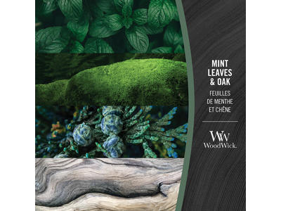 WoodWick Medium - Mint Leaves & Oak
